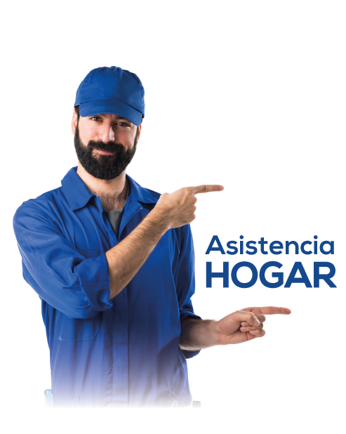 Image_ASISTENCIA-HOGAR.png